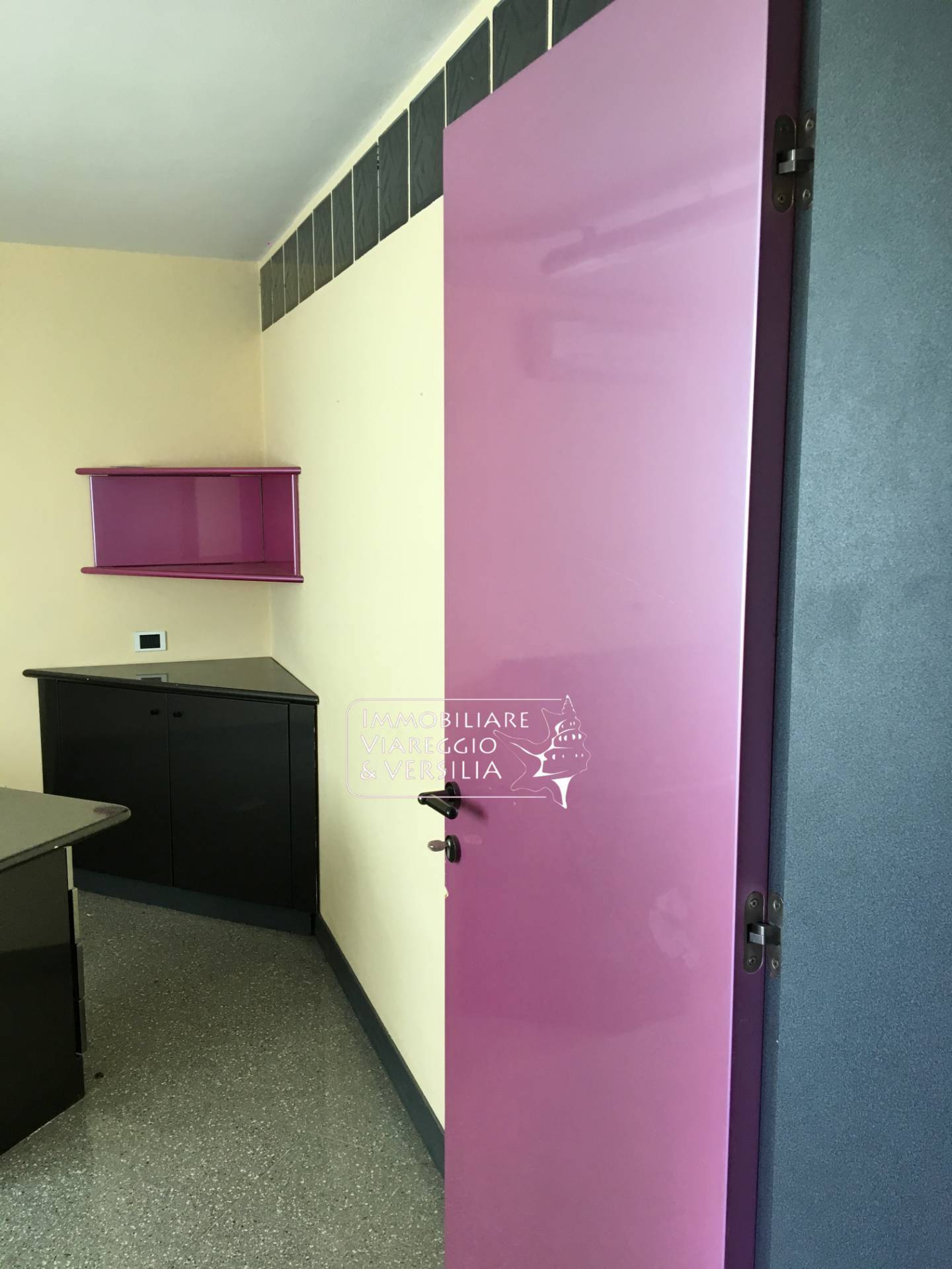 Laboratorio in vendita a Camaiore, Capezzano Pianore