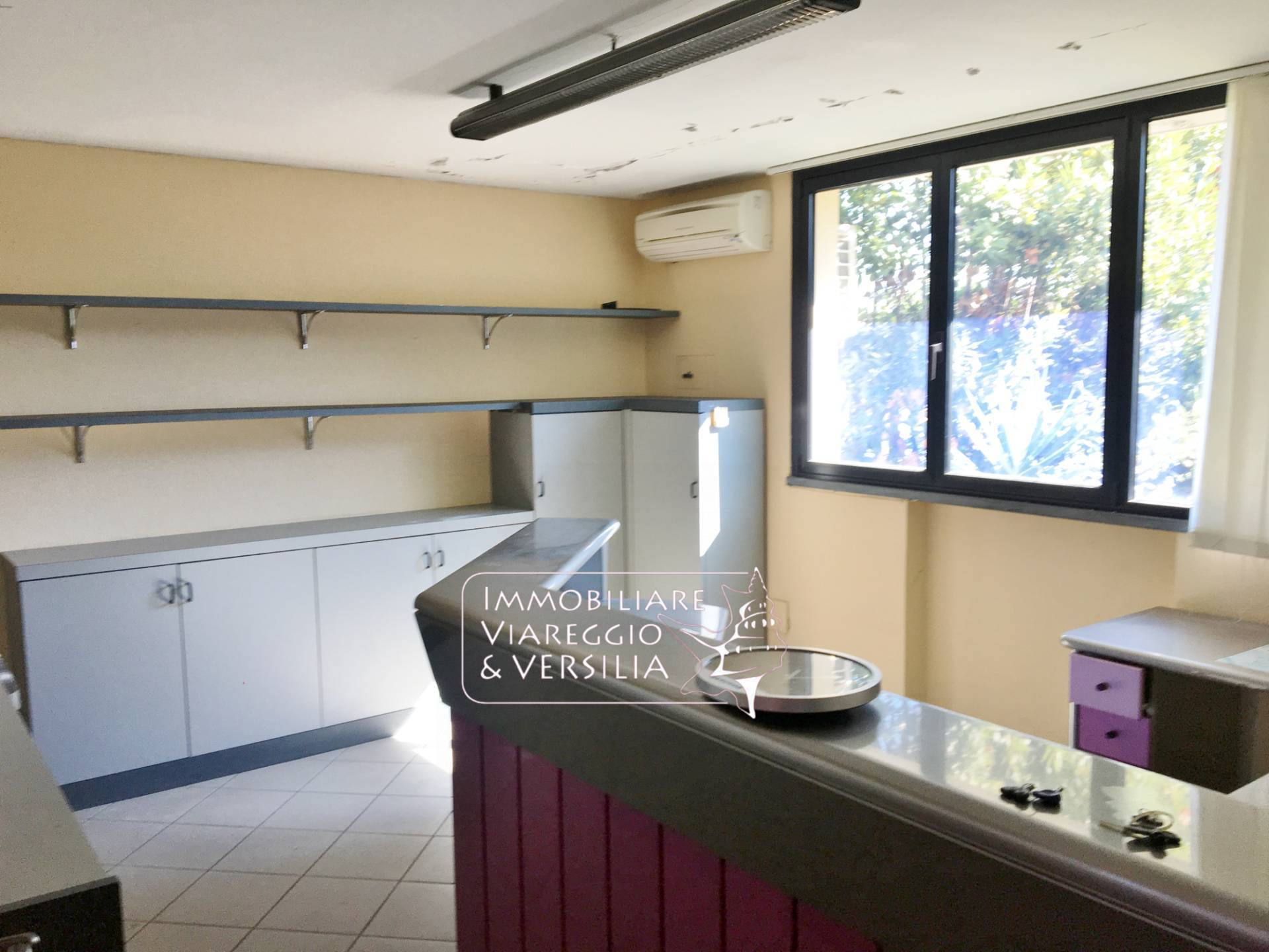 Laboratorio in vendita a Camaiore, Capezzano Pianore