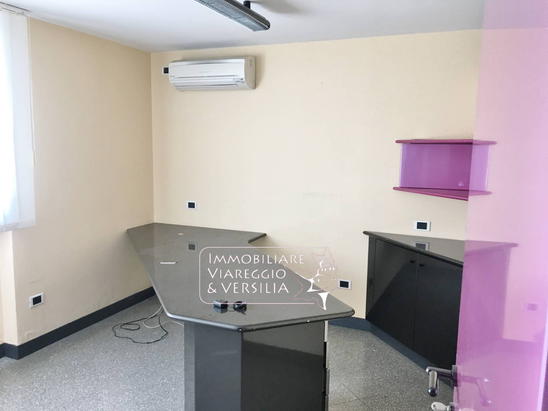 Laboratorio in vendita a Camaiore, Capezzano Pianore