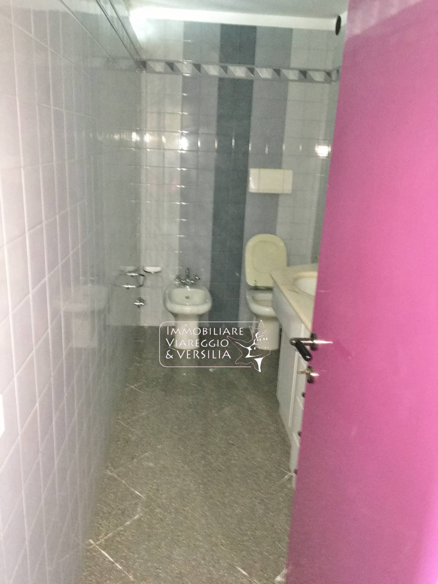 Laboratorio in vendita a Camaiore, Capezzano Pianore