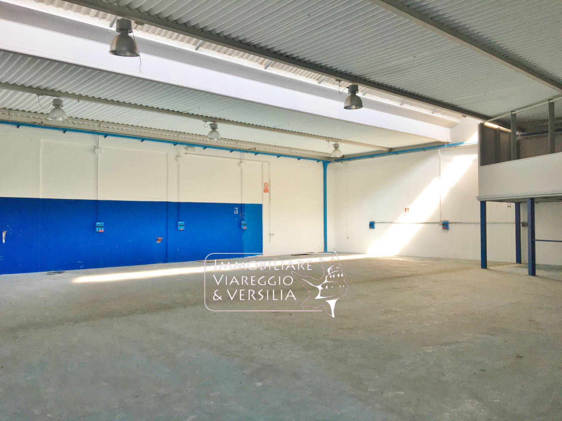 Laboratorio in vendita a Camaiore, Capezzano Pianore