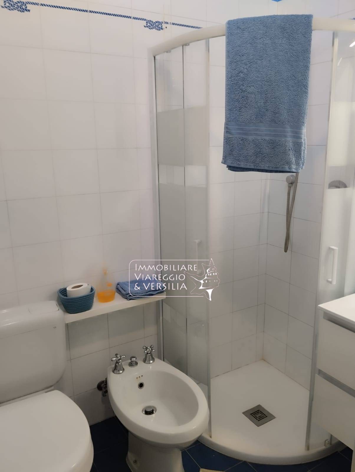 Casa singola in affitto a Viareggio, Centro Mercato