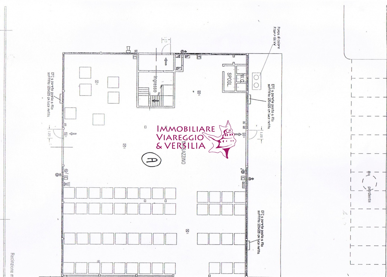 Capannone in vendita a Camaiore