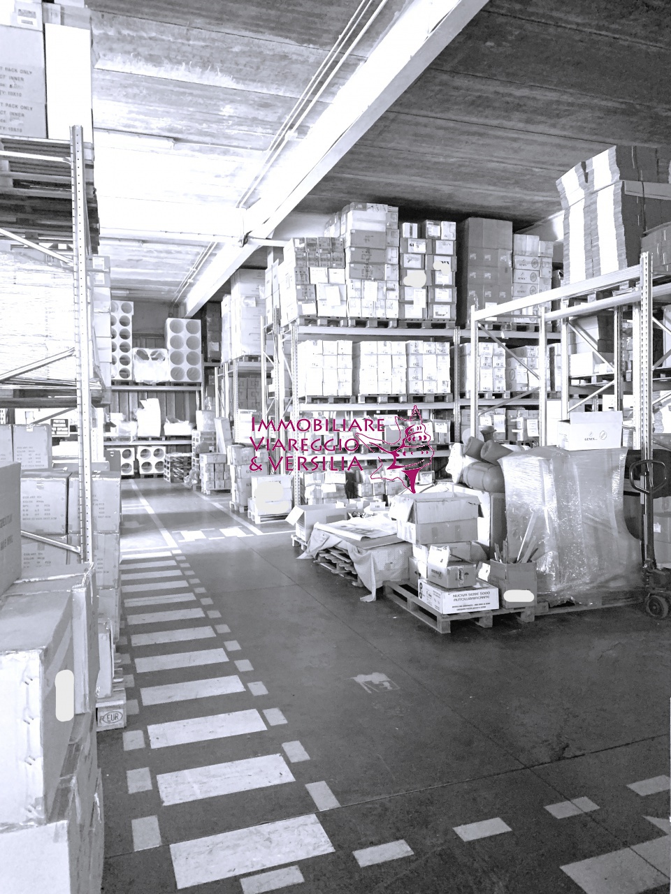 Capannone in vendita a Camaiore
