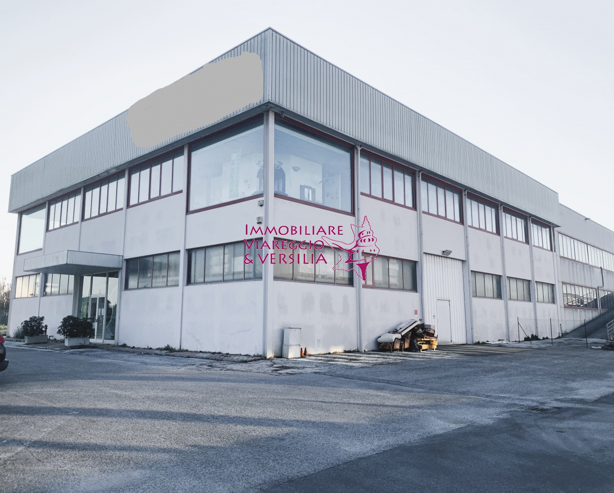 Capannone in vendita a Camaiore