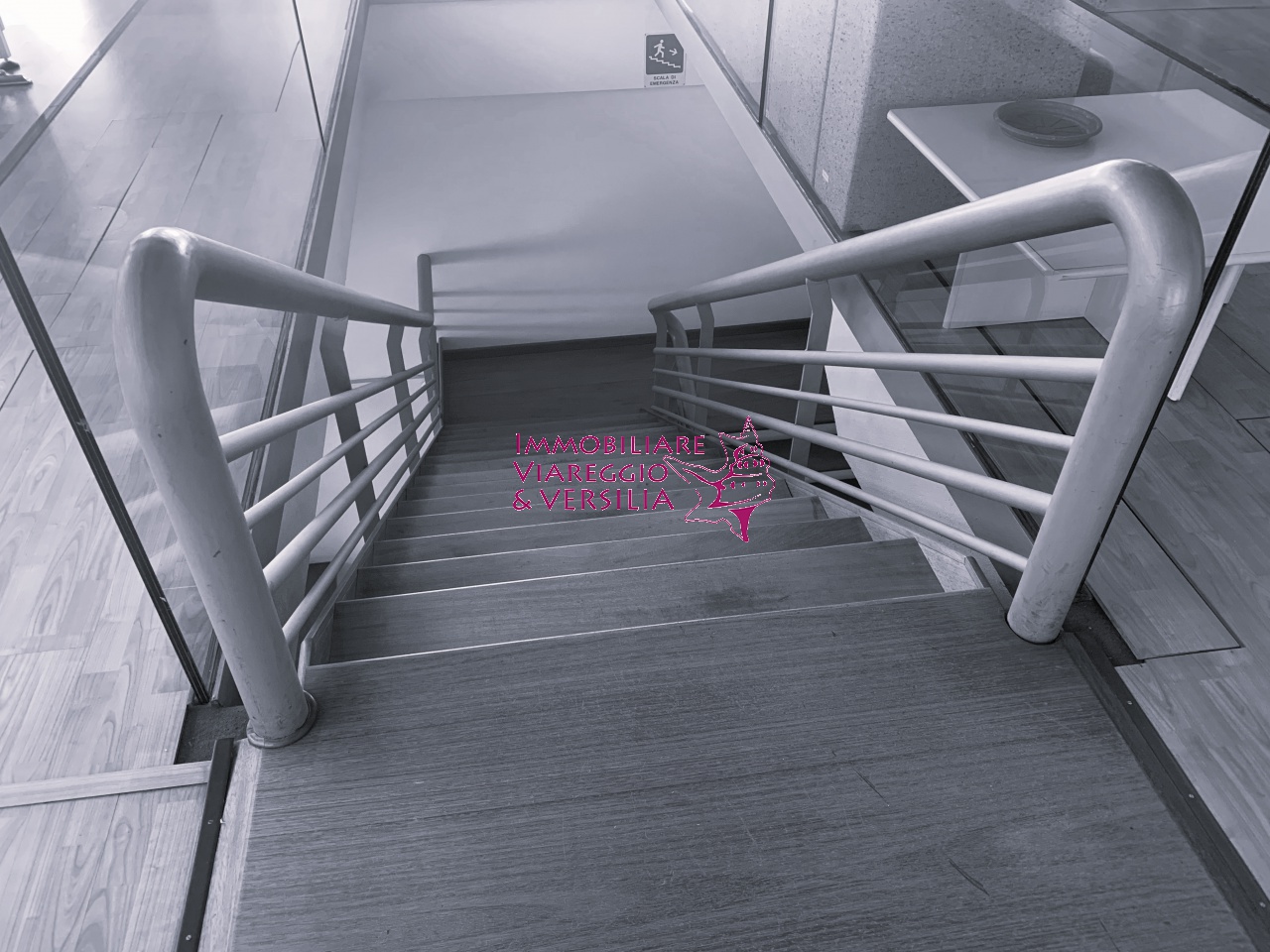 Capannone in vendita a Camaiore