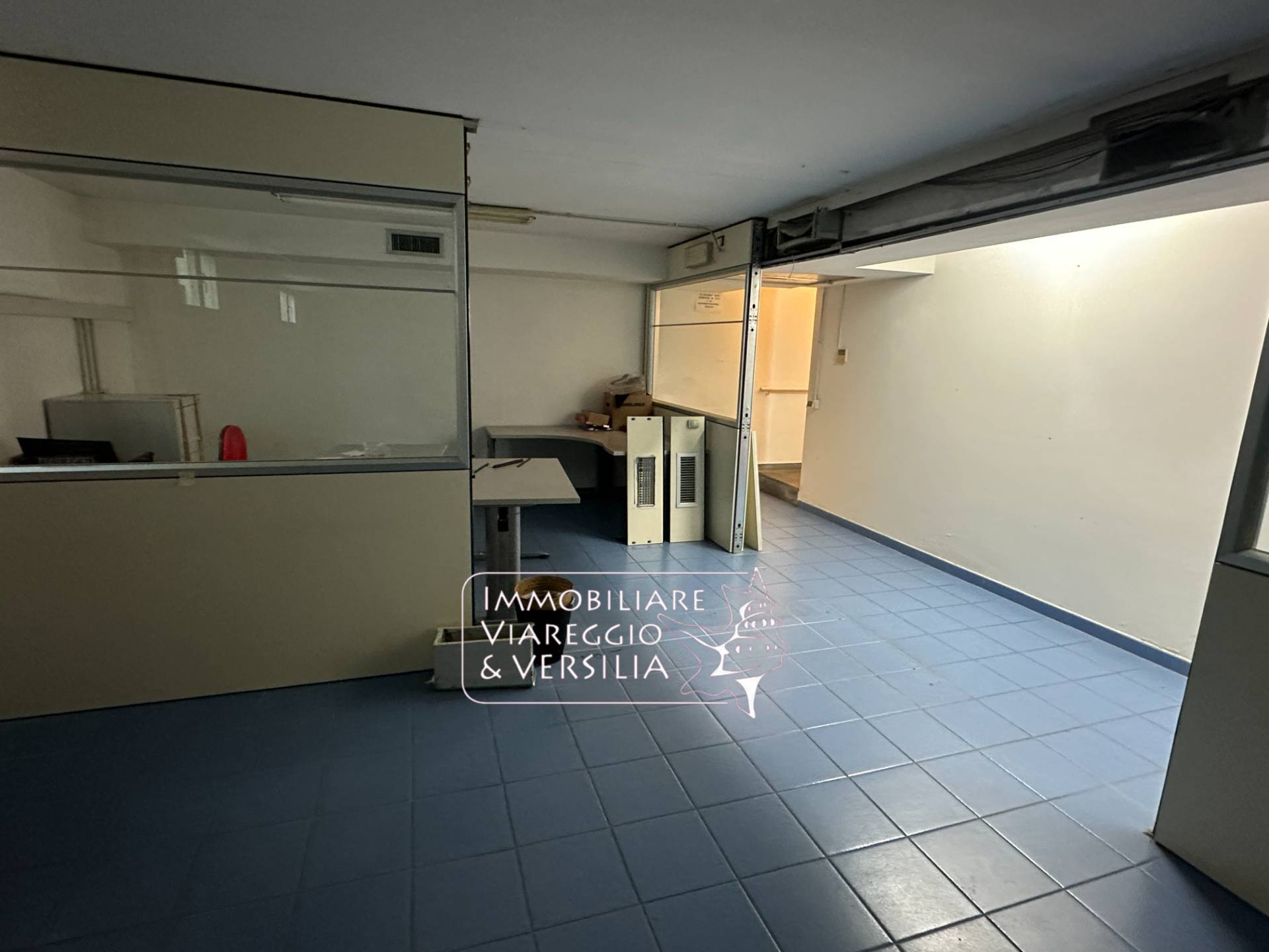 Locale commerciale in vendita a Viareggio, Migliarina