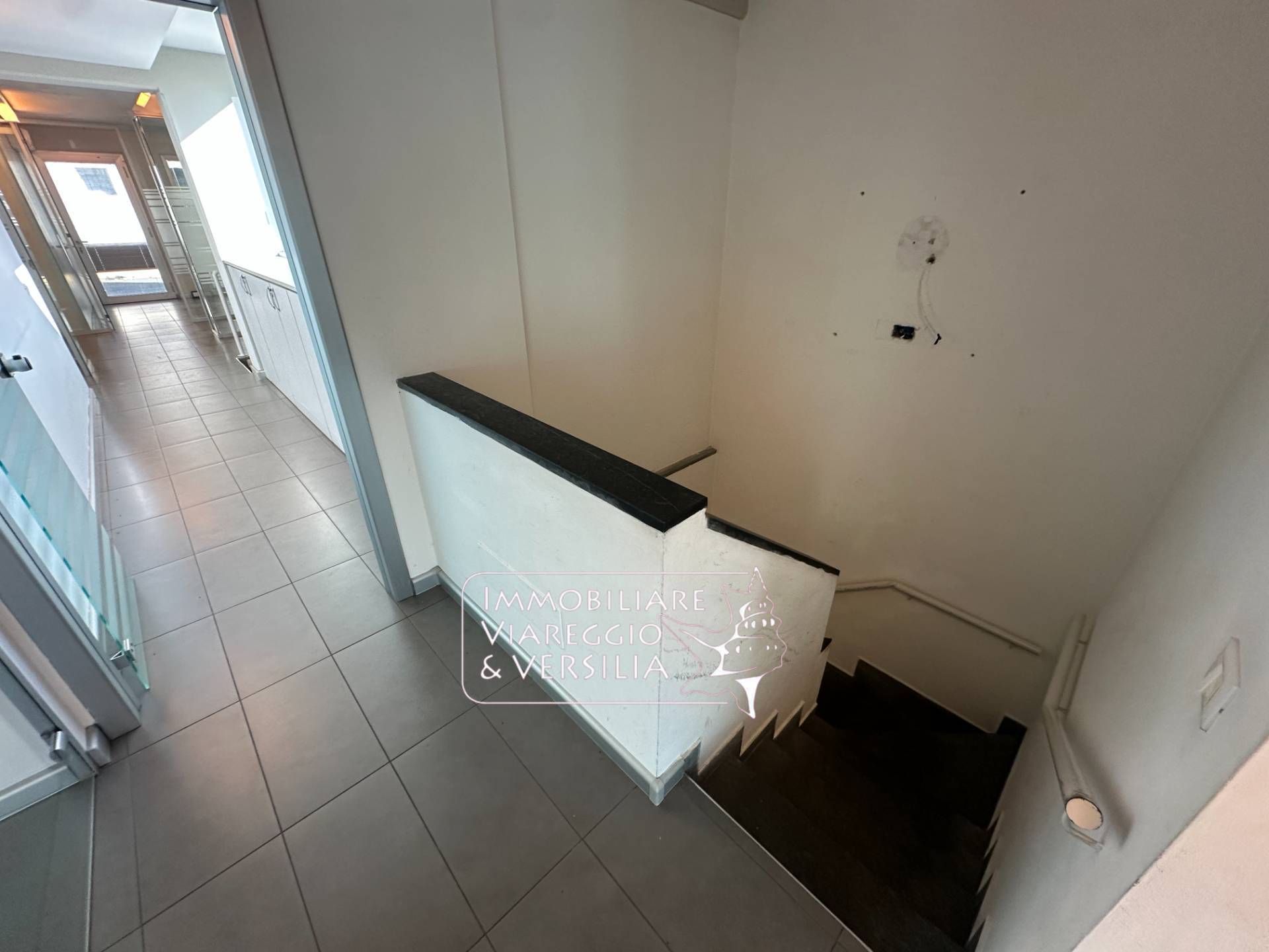 Locale commerciale in vendita a Viareggio, Migliarina