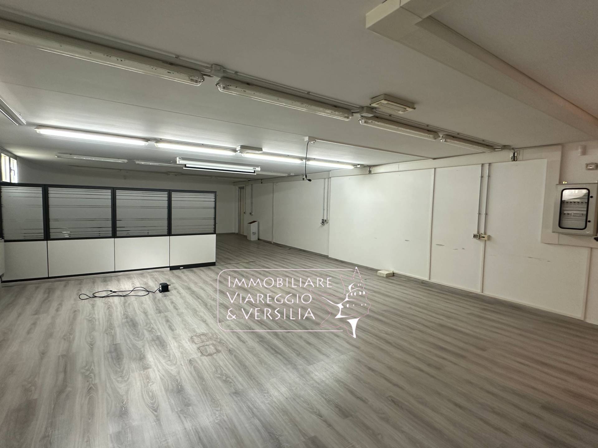 Locale commerciale in affitto a Viareggio, Migliarina