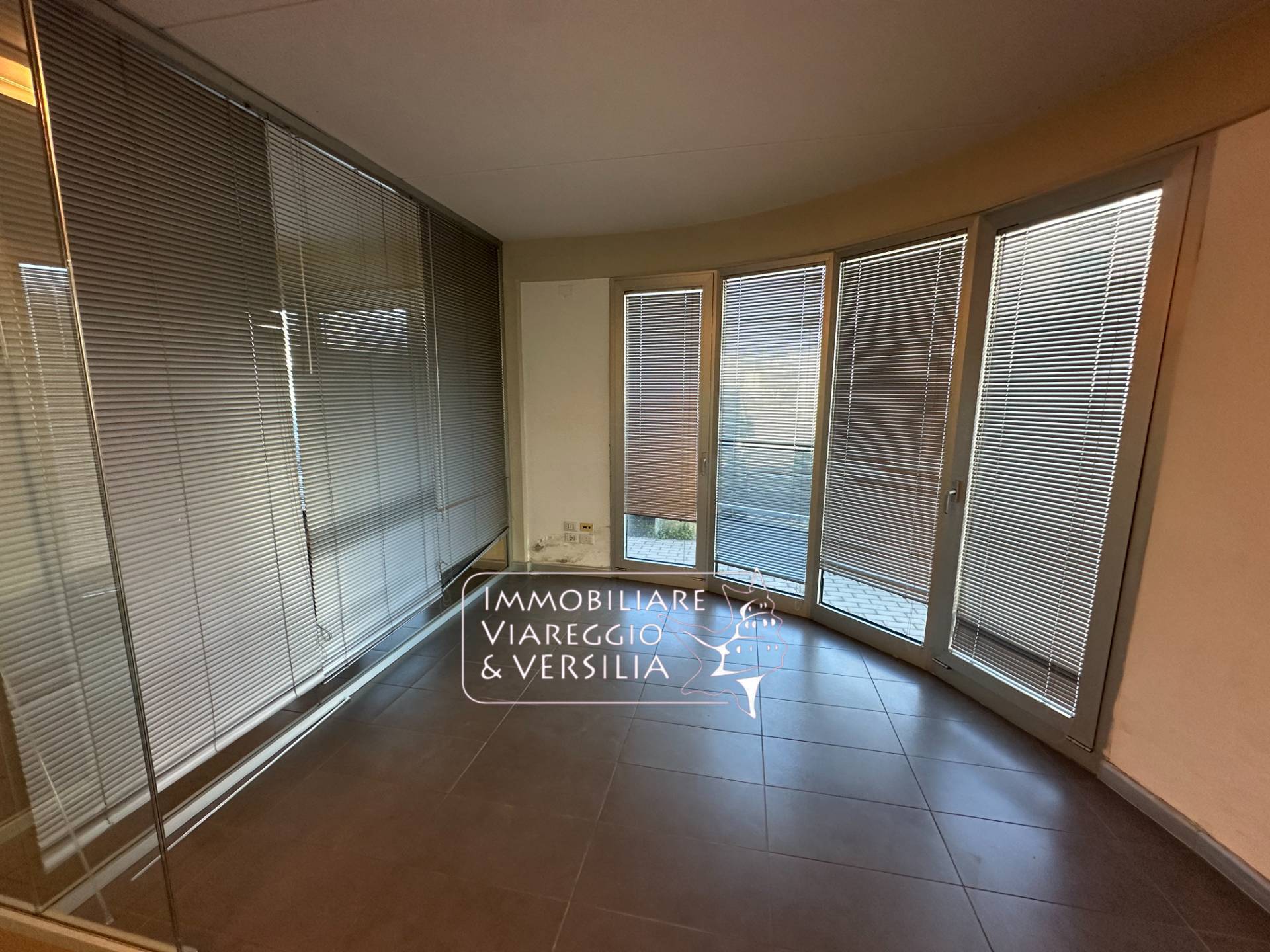 Locale commerciale in affitto a Viareggio, Migliarina