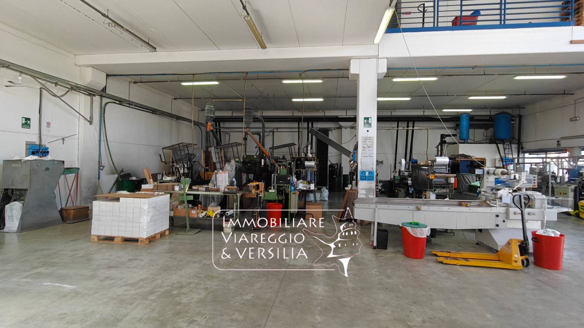Capannone in vendita a Viareggio, Cotone