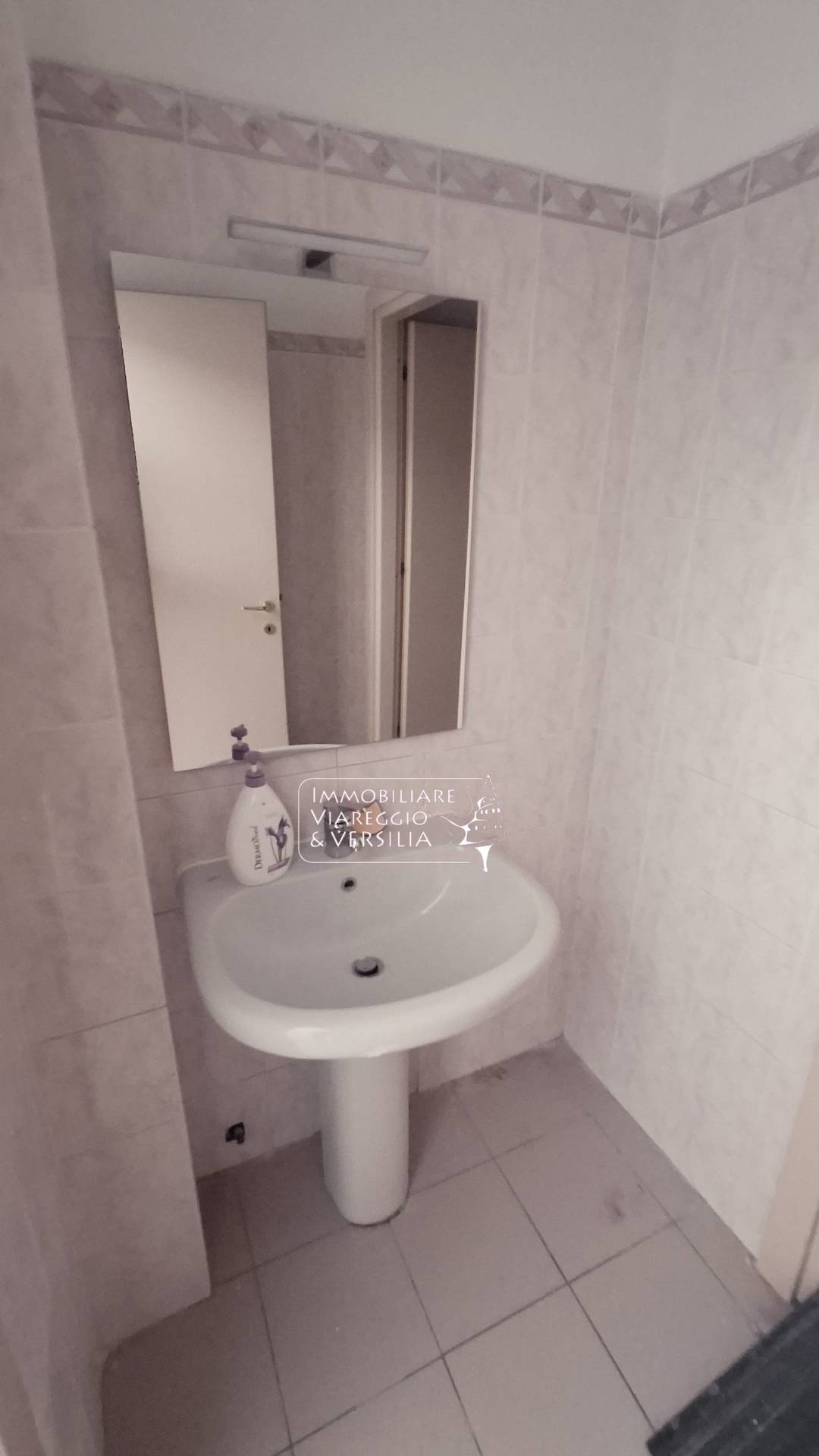 Studio/Ufficio in vendita a Viareggio, Terminetto