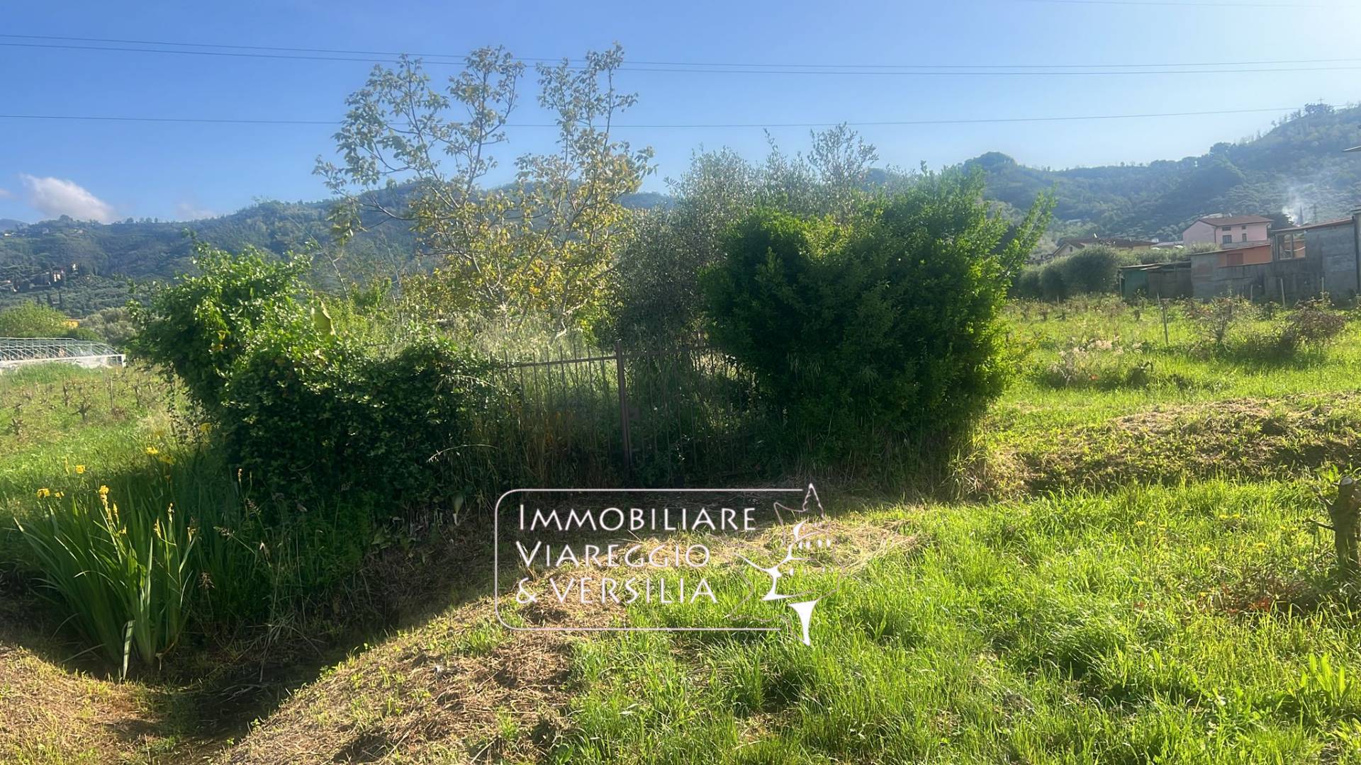 Terreno Agricolo in vendita a Massarosa, Massarosa