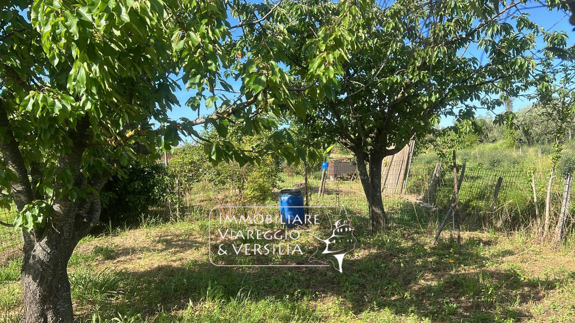 Terreno Agricolo in vendita a Massarosa, Massarosa