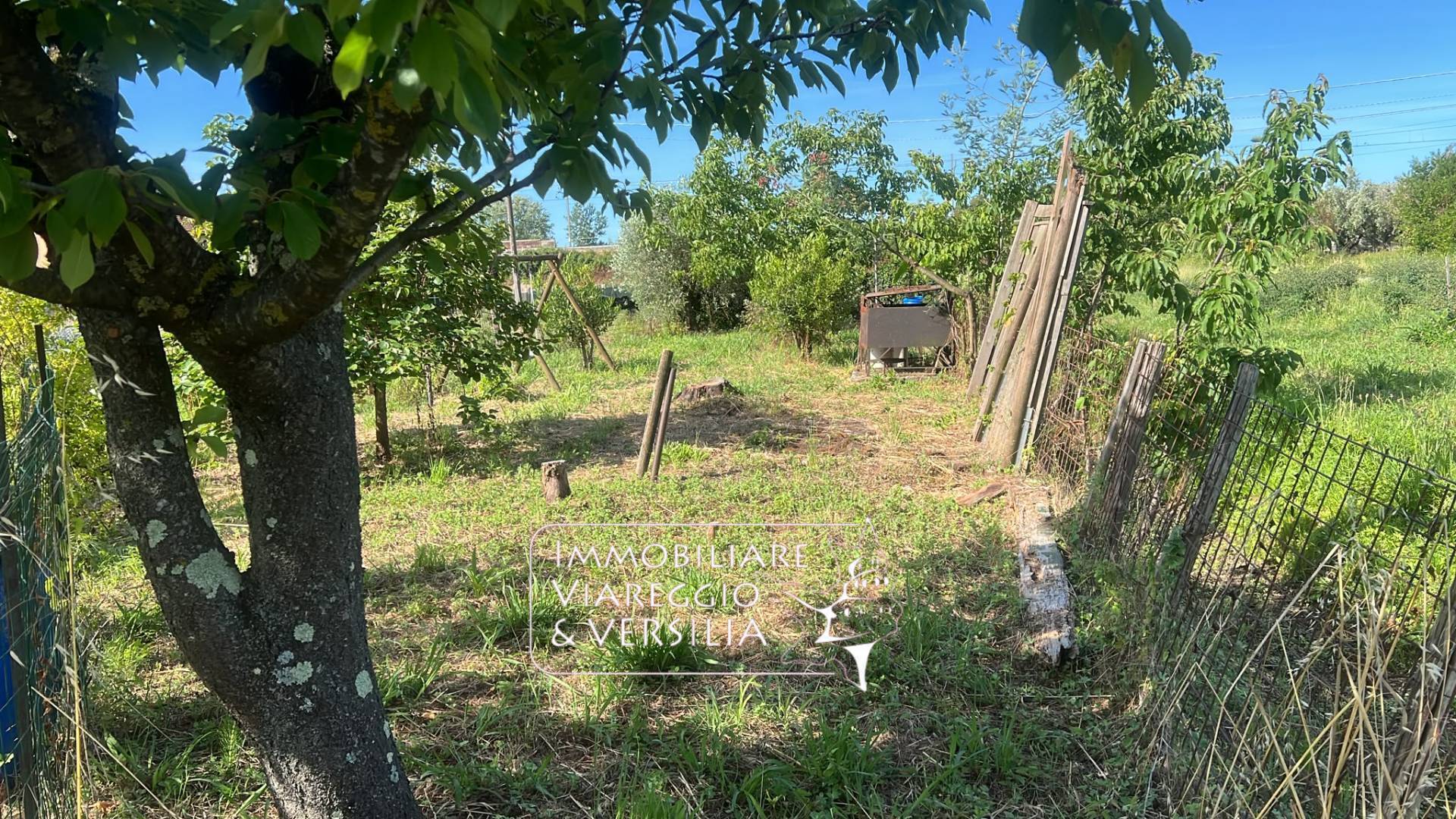 Terreno Agricolo in vendita a Massarosa, Massarosa