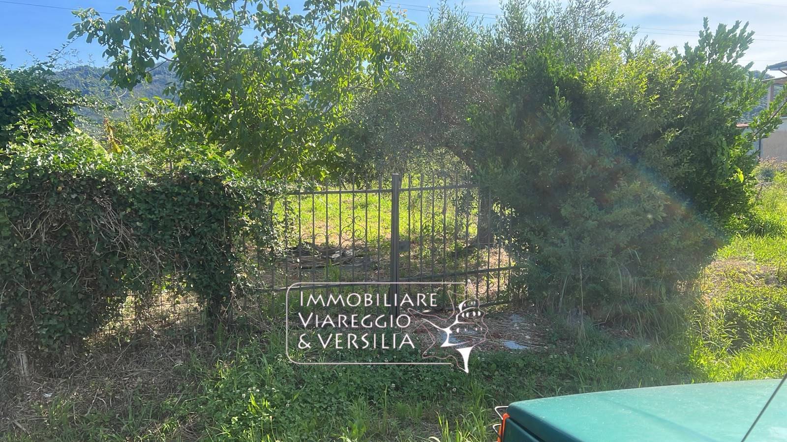Terreno Agricolo in vendita a Massarosa, Massarosa