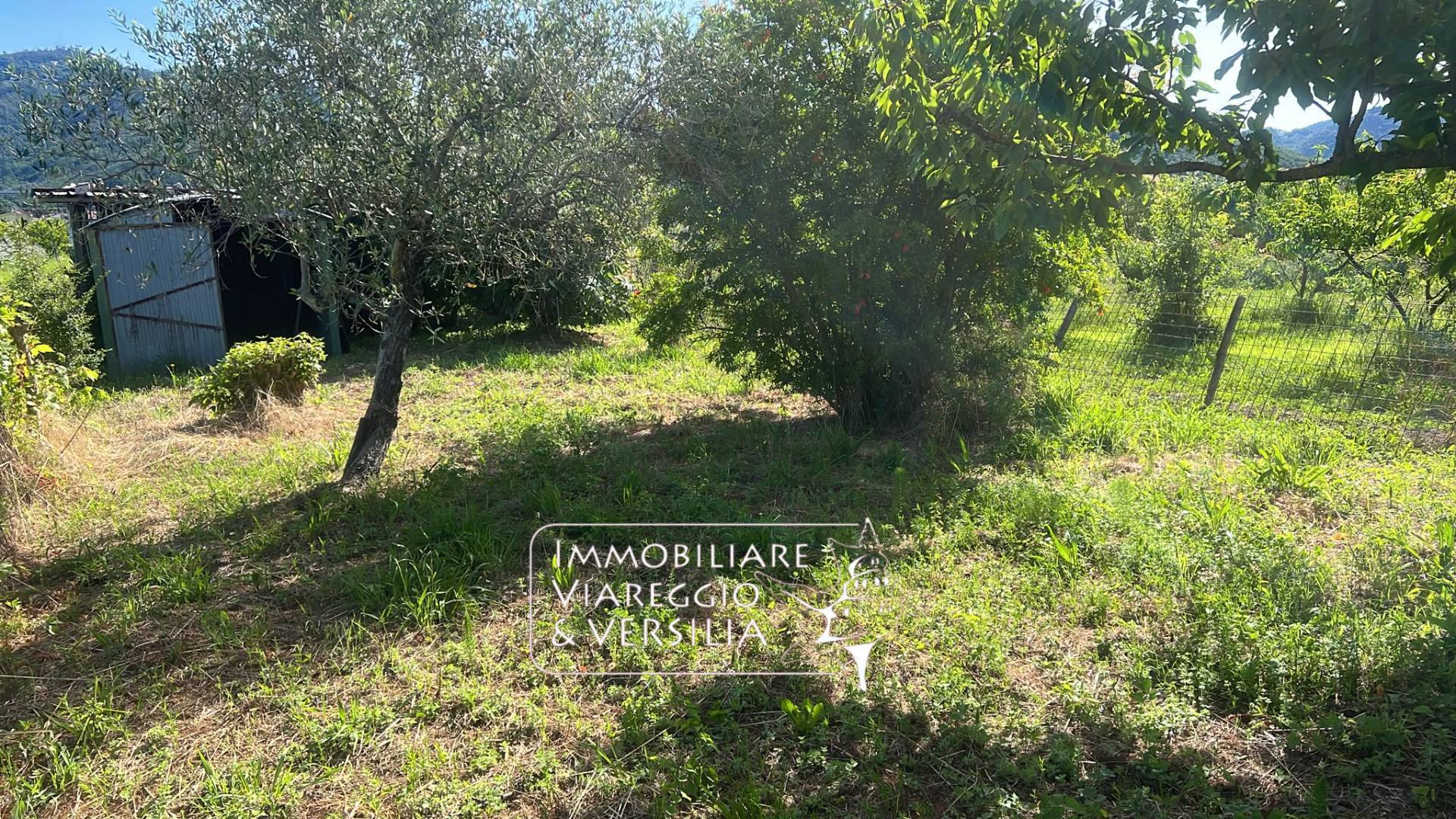 Terreno Agricolo in vendita a Massarosa, Massarosa