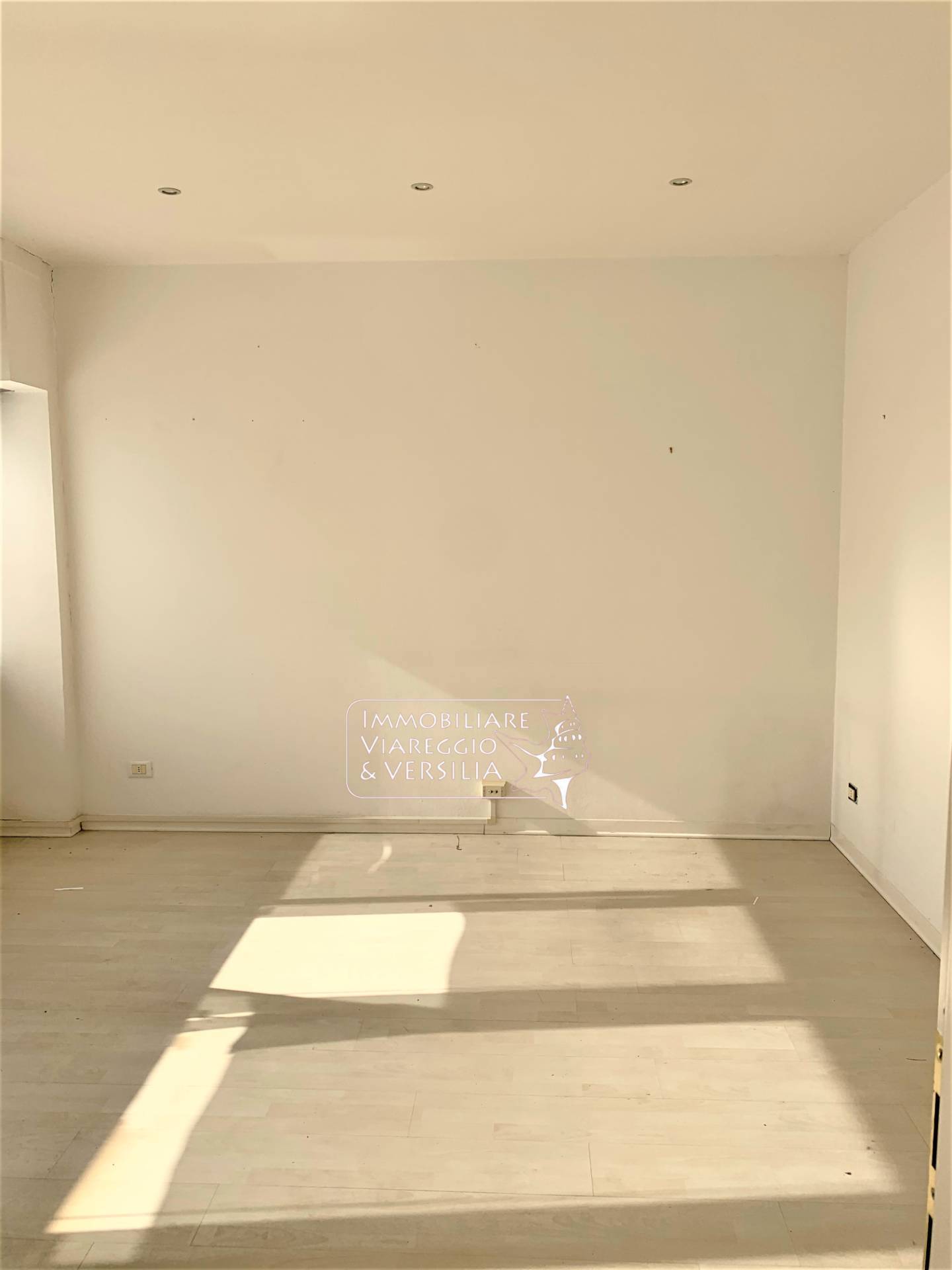 Studio/Ufficio in affitto a Viareggio, Terminetto
