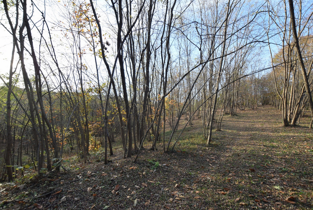 Terreno in vendita a Volpago del Montello