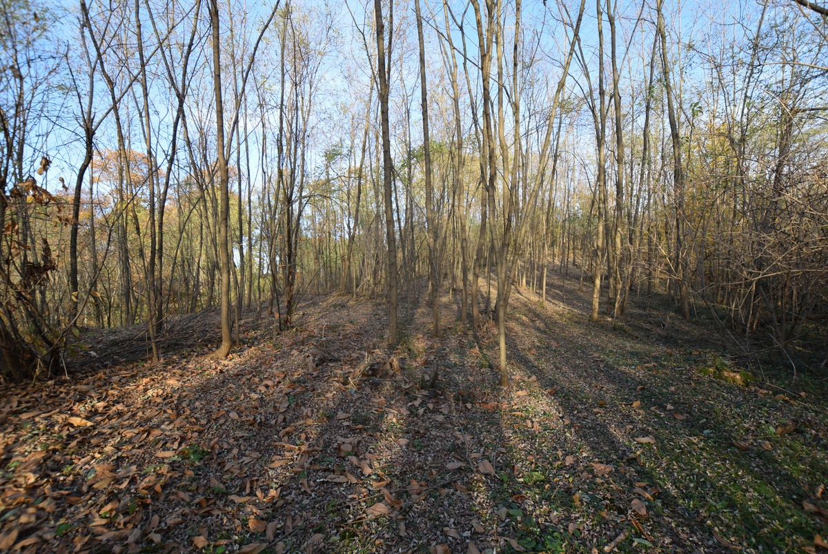 Terreno in vendita a Volpago del Montello