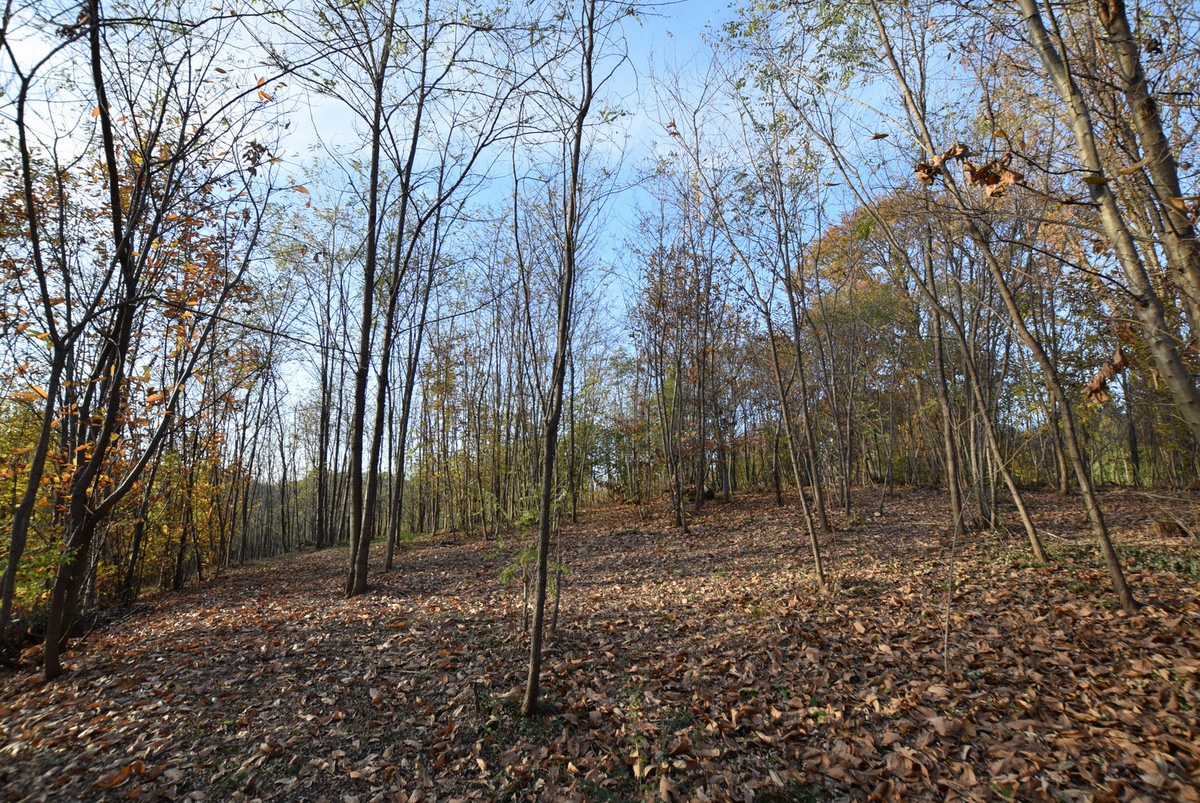 Terreno in vendita a Volpago del Montello