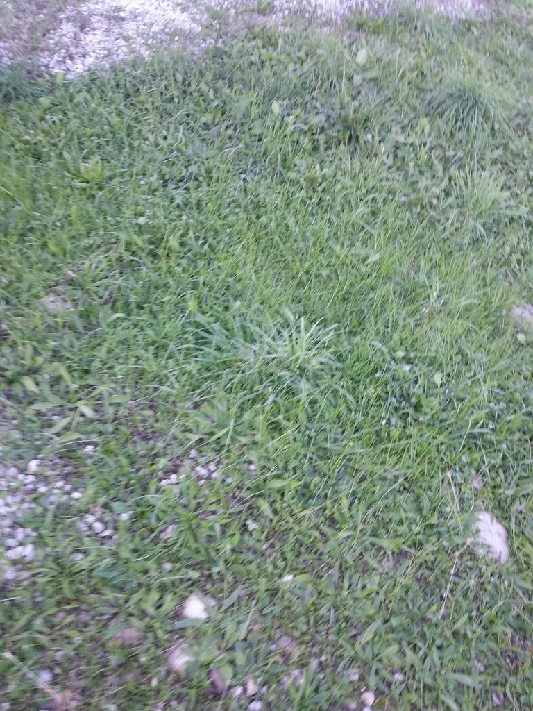 Terreno con giardino a Volpago del Montello