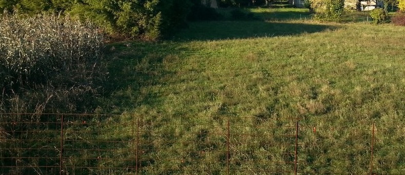 Terreno con giardino a Volpago del Montello