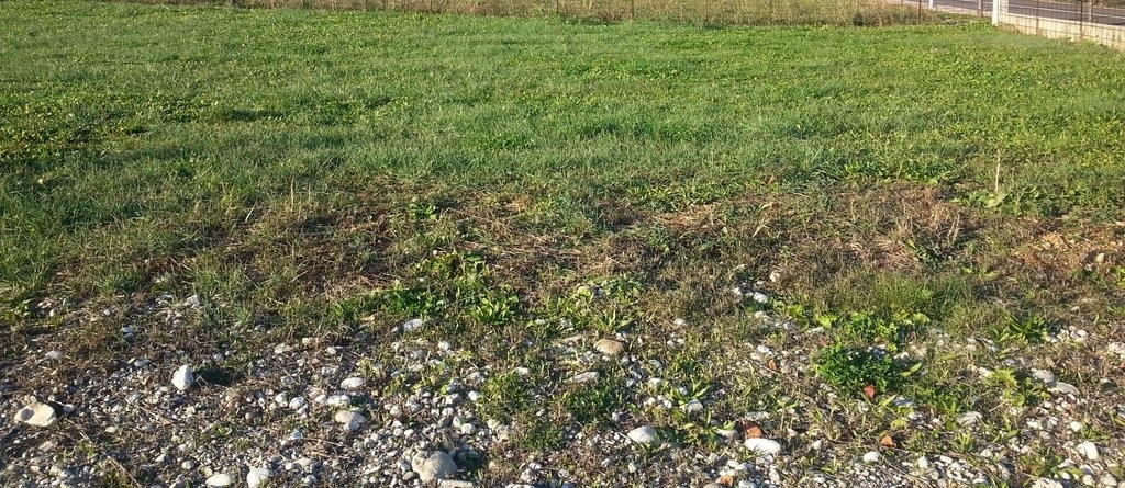 Terreno con giardino a Volpago del Montello