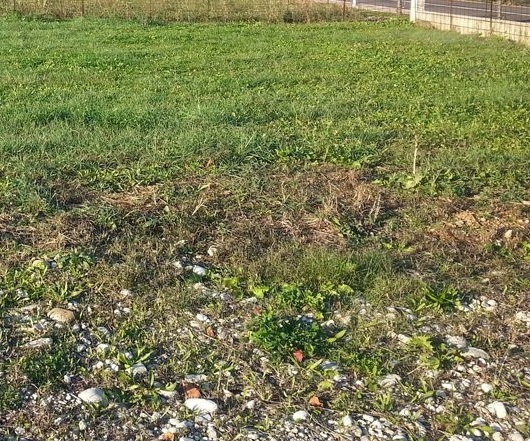 Terreno con giardino a Volpago del Montello