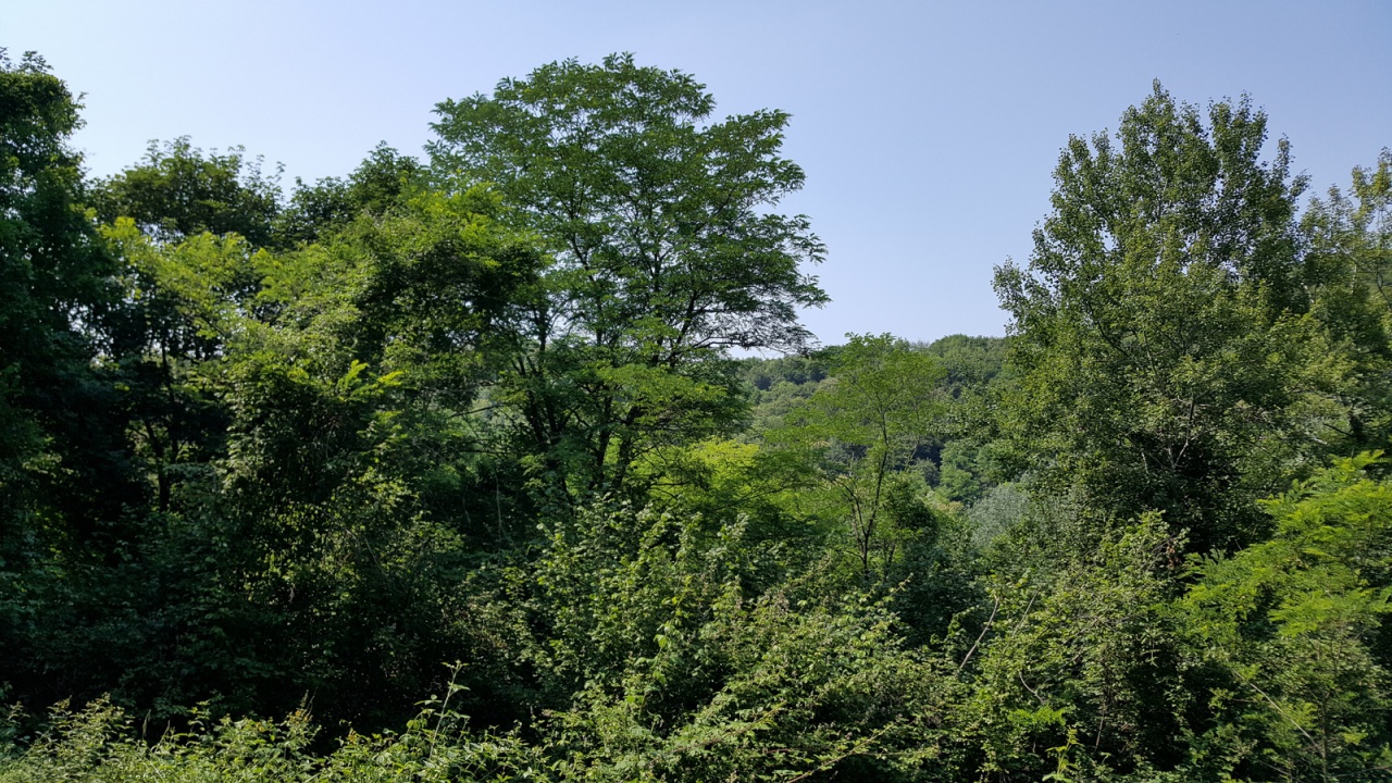 Terreno con giardino a Cornuda