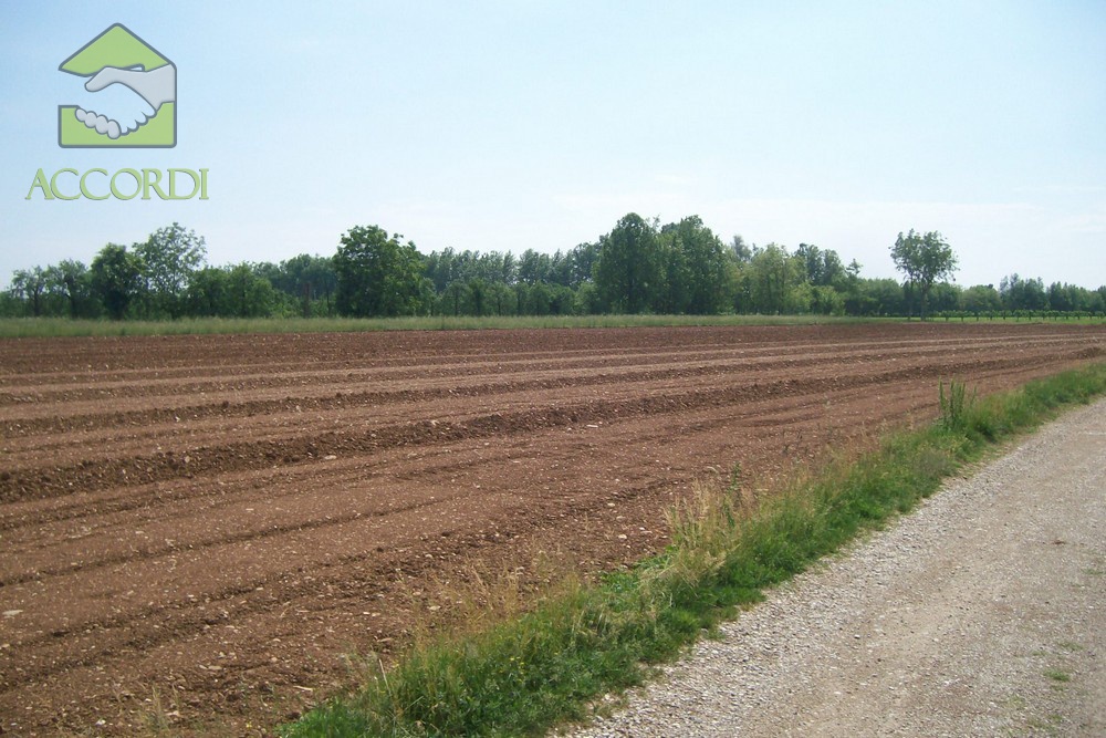 Terreno nuovo a Zero Branco