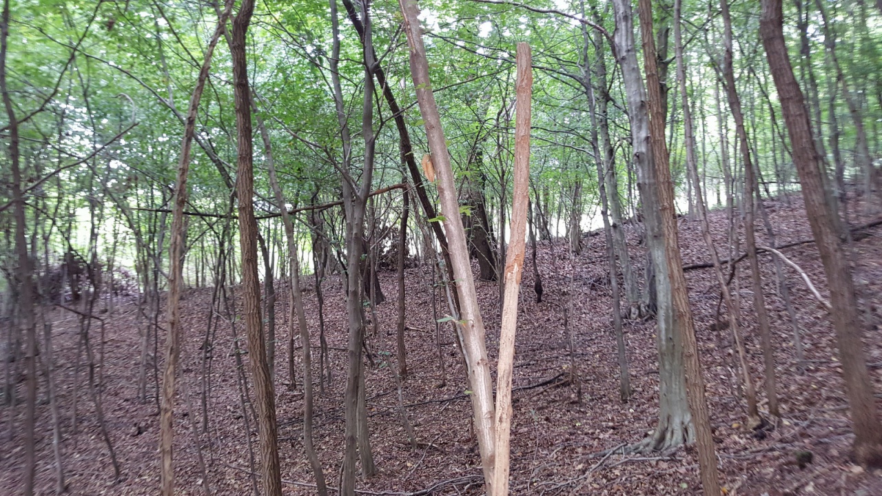 Terreno in vendita a Volpago del Montello