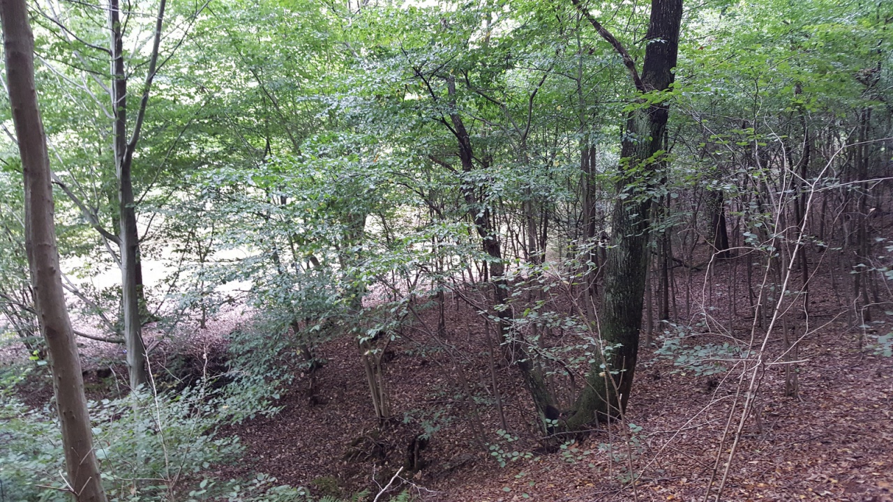 Terreno in vendita a Volpago del Montello