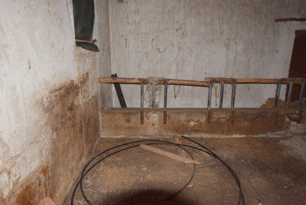 Rustico con giardino a Giavera del Montello