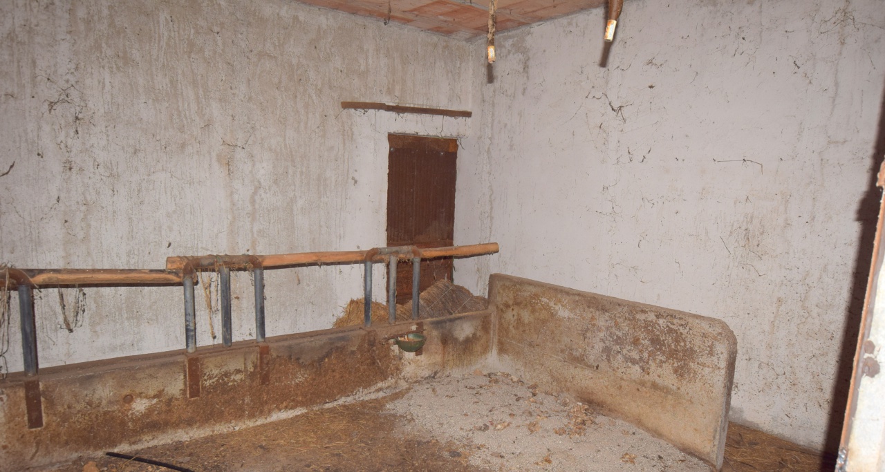 Rustico con giardino a Giavera del Montello