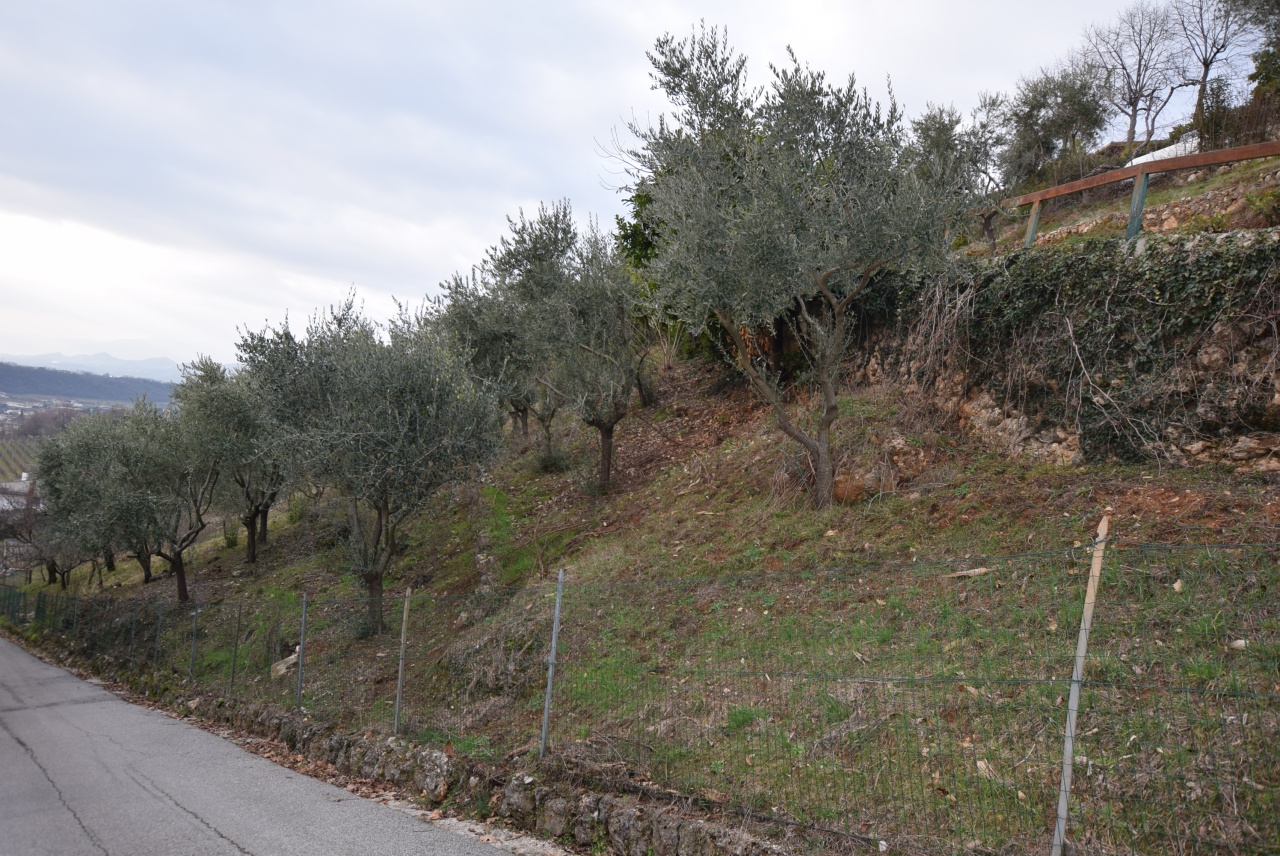 Terreno in vendita a Montebelluna