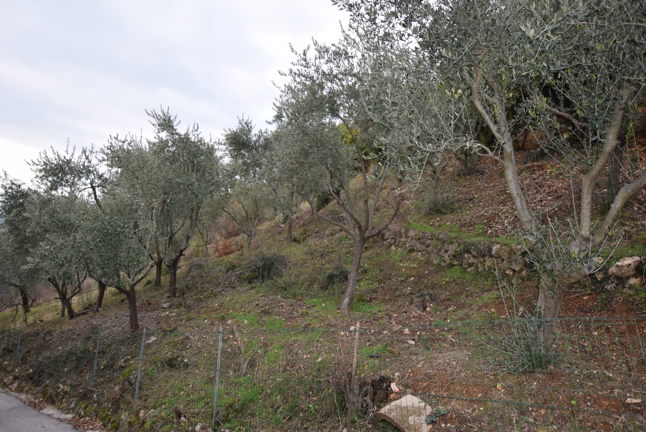 Terreno in vendita a Montebelluna