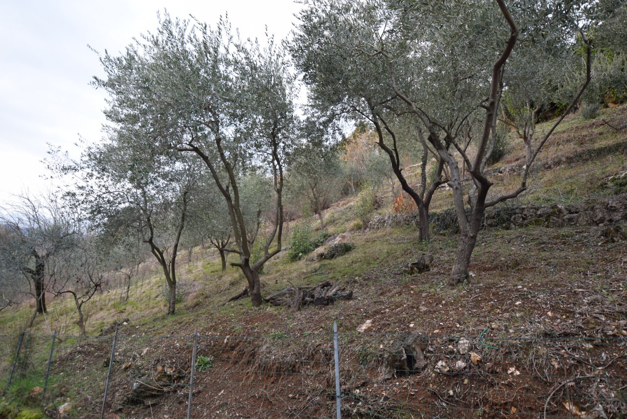 Terreno in vendita a Montebelluna