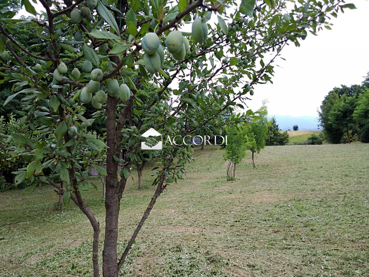 Terreno in vendita a Nervesa della Battaglia