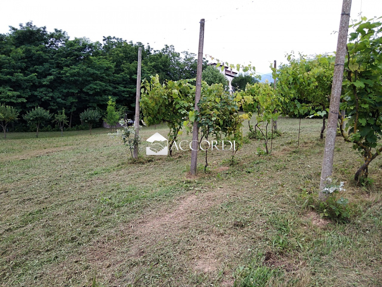 Terreno in vendita a Nervesa della Battaglia