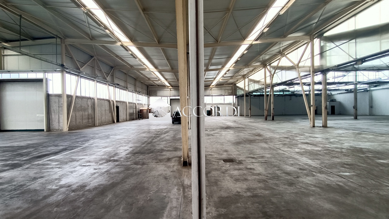 Capannone in affitto a Pederobba