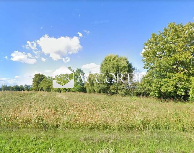 Terreno con giardino a Trevignano