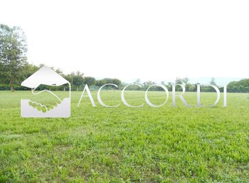 Terreno con giardino a Trevignano