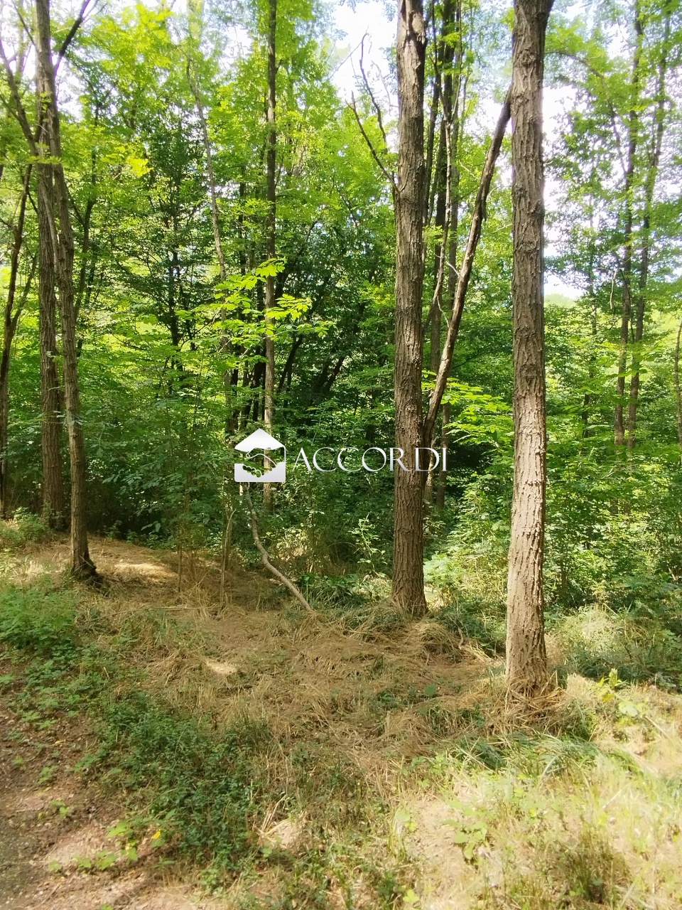 Terreno in vendita a Giavera del Montello