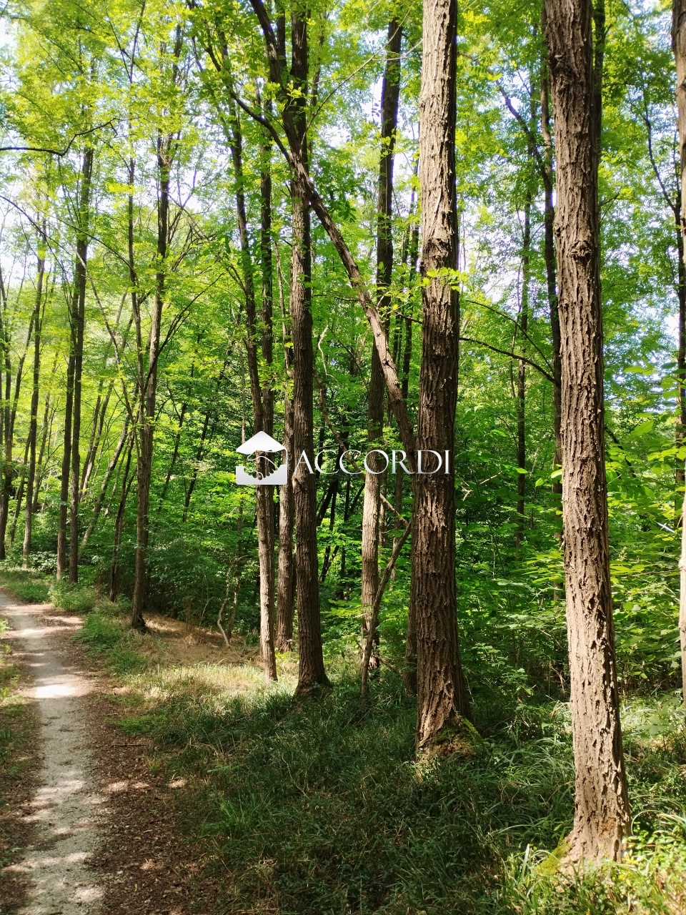 Terreno in vendita a Giavera del Montello