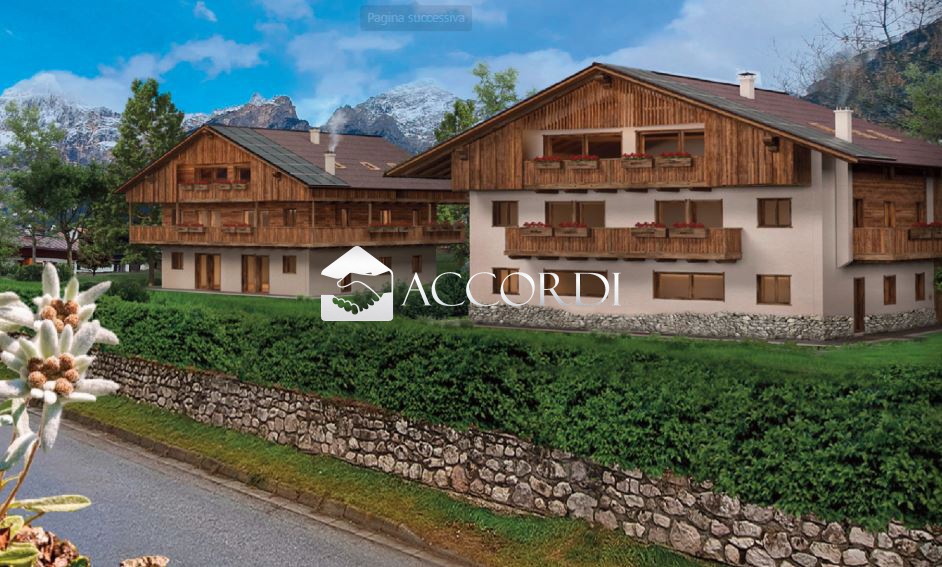 Trilocale con giardino a San Vito di Cadore