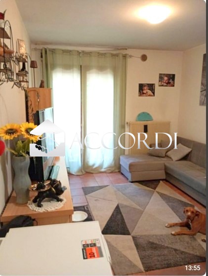 Bilocale in vendita a Montebelluna