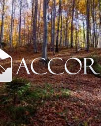 Terreno con giardino a Possagno