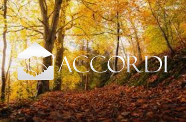 Terreno con giardino a Possagno