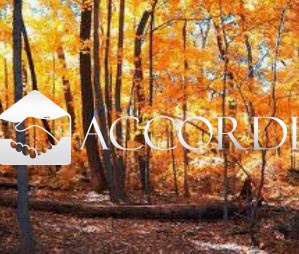 Terreno con giardino a Possagno